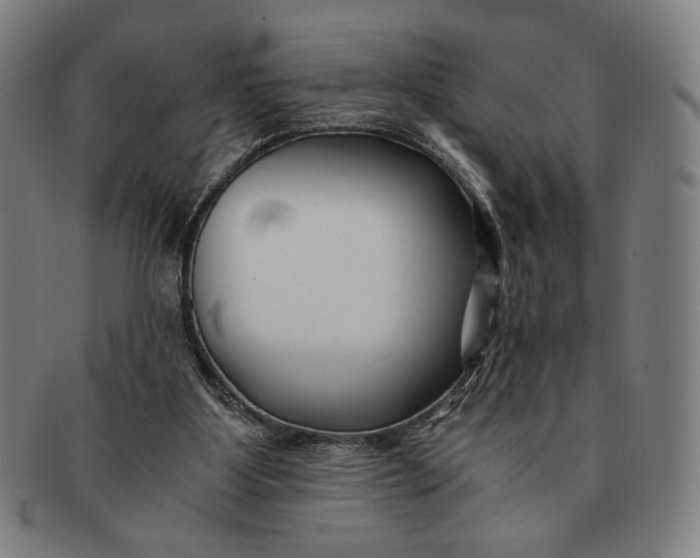 X0000091220107200708301501