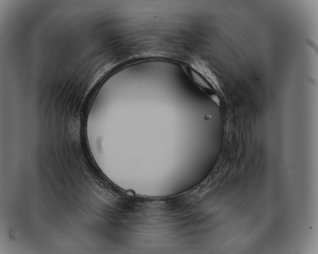 X0000091220108200708301501