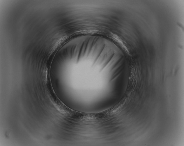 X0000091220110200708301501