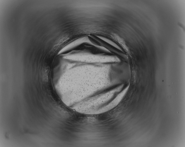 X0000091220114200708301501