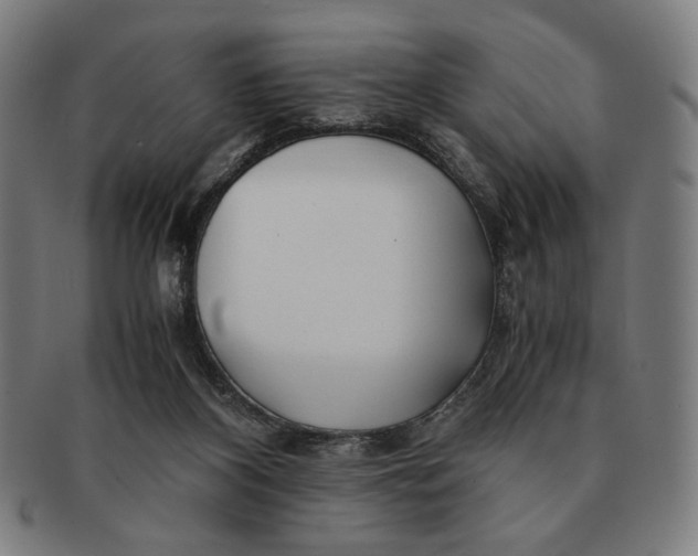 X0000091220116200708301501