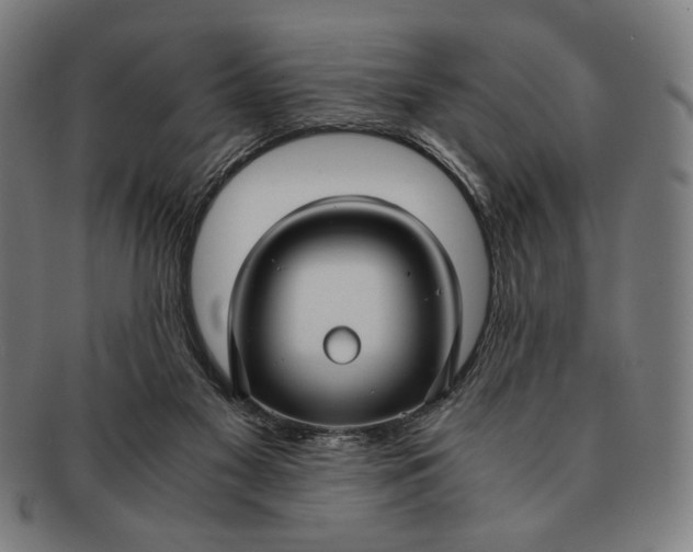 X0000091220117200708301501