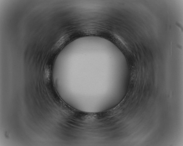 X0000091220124200708301501