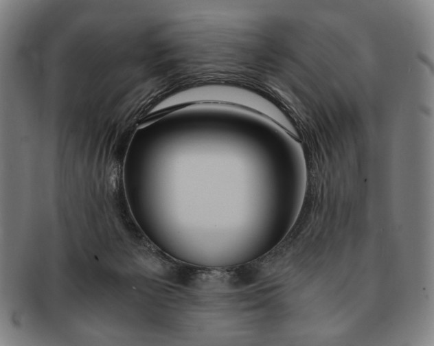 X0000091220125200708301501