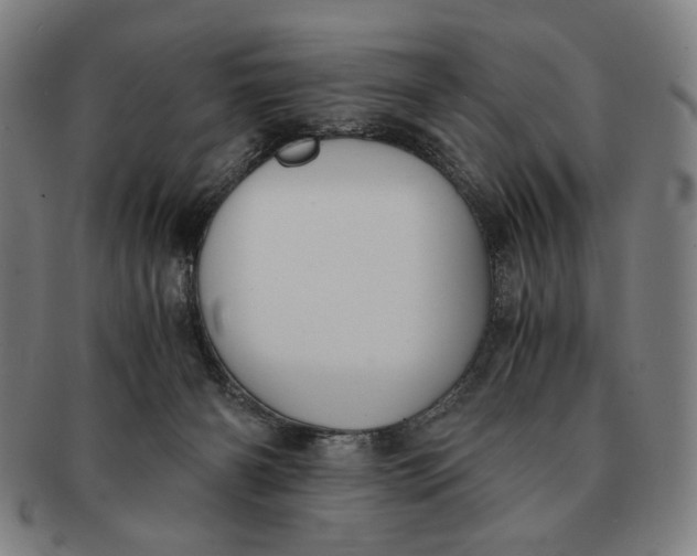 X0000091220126200708301501