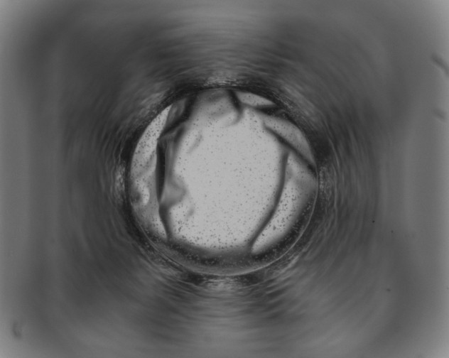 X0000091220127200708301501