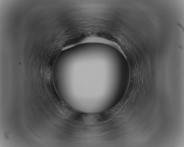 X0000091220129200708301501