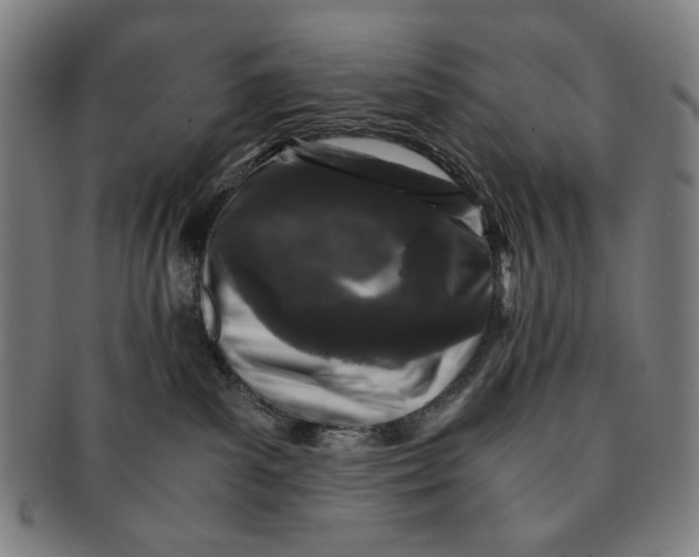 X0000091220139200708301501