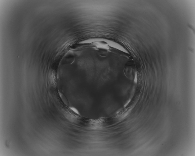 X0000091220143200708301500