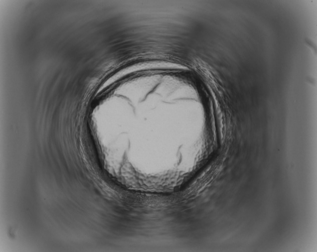 X0000091220145200708301500