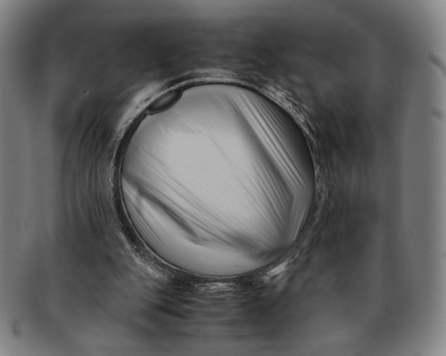 X0000091220151200708301500