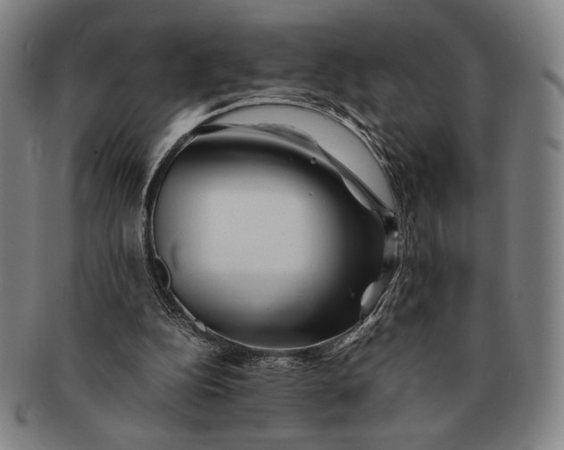 X0000091220152200708301500