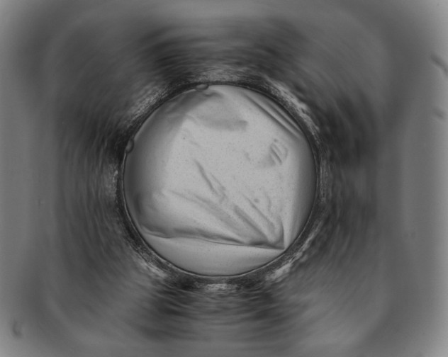 X0000091220153200708301500