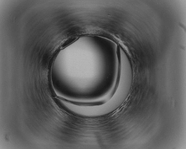 X0000091220154200708301500