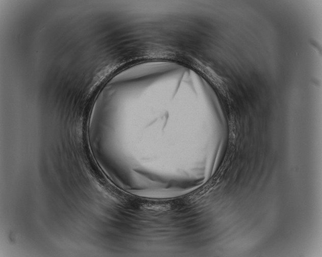 X0000091220155200708301500