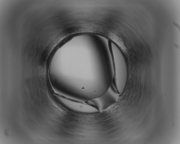 X0000091220156200708301500