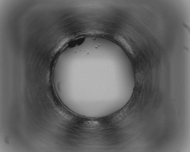 X0000091220159200708301500