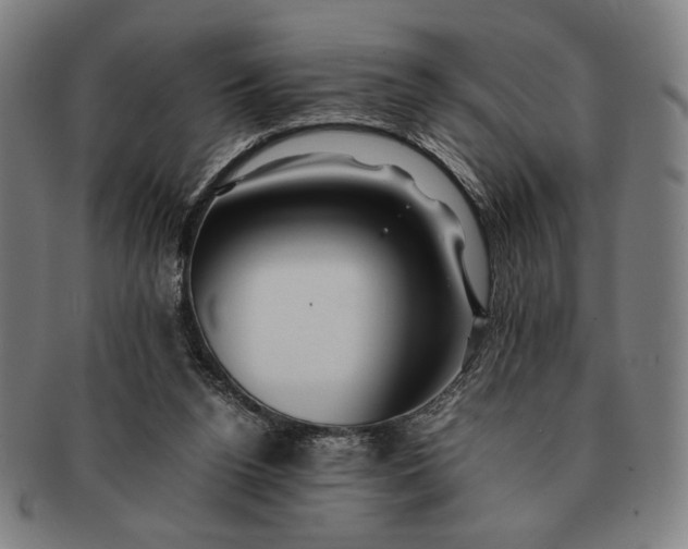 X0000091220160200708301500