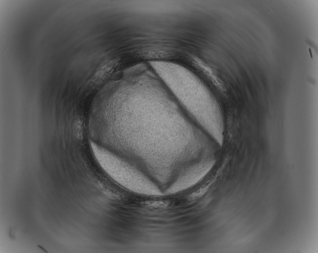 X0000091220161200708301500