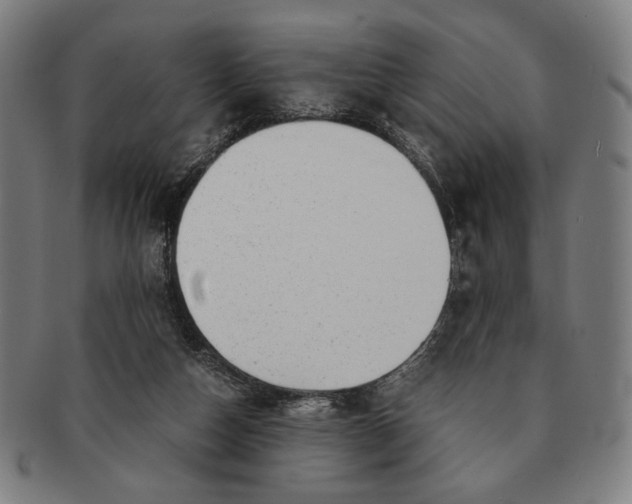 X0000091220162200708301500