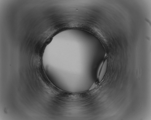 X0000091220164200708301500