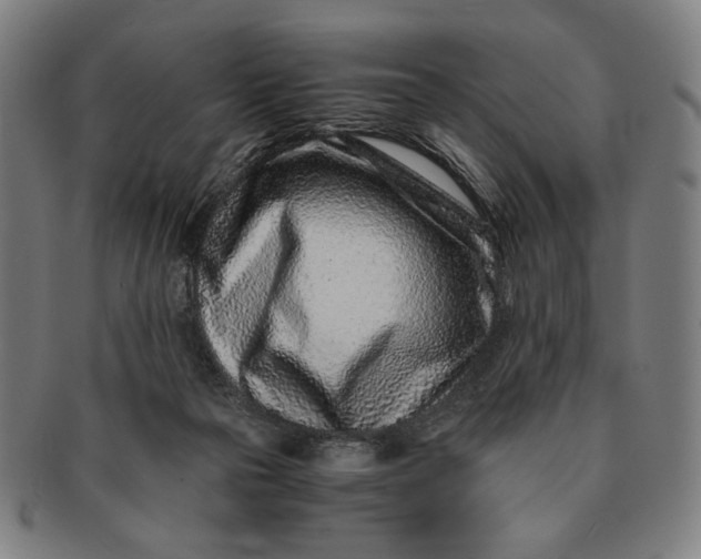 X0000091220169200708301500