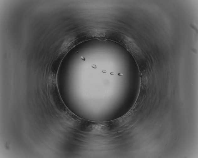 X0000091220172200708301500