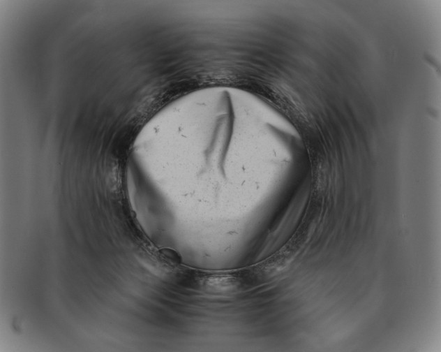 X0000091220173200708301500