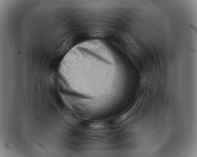 X0000091220175200708301500