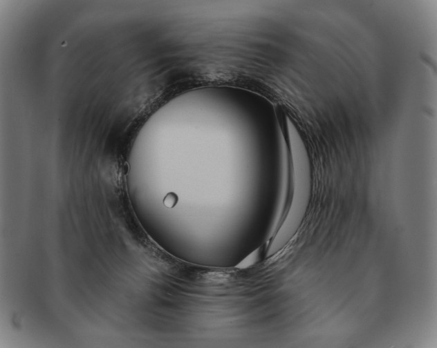 X0000091220176200708301500