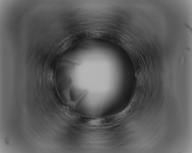 X0000091220178200708301500