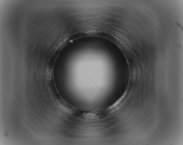 X0000091220180200708301500