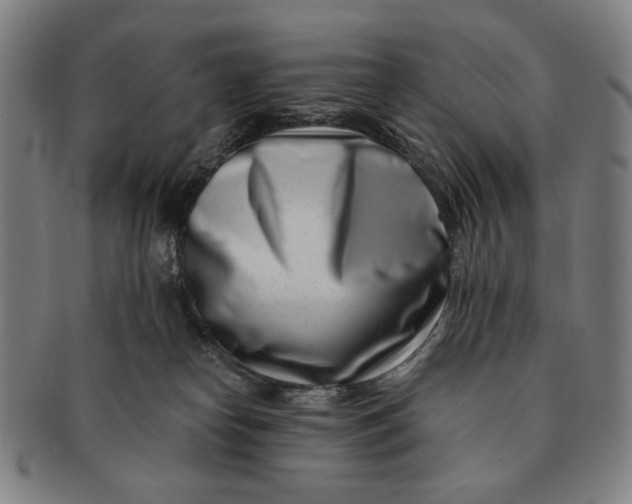 X0000091220182200708301500