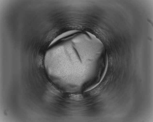 X0000091220185200708301500