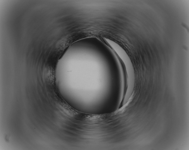 X0000091220186200708301500