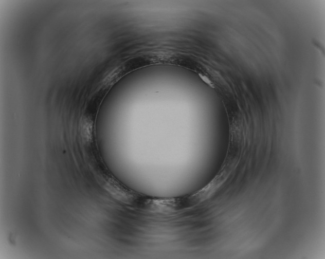 X0000091220188200708301500