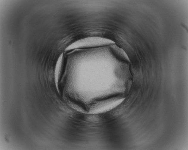 X0000091220189200708301500