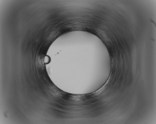 X0000091220190200708301500