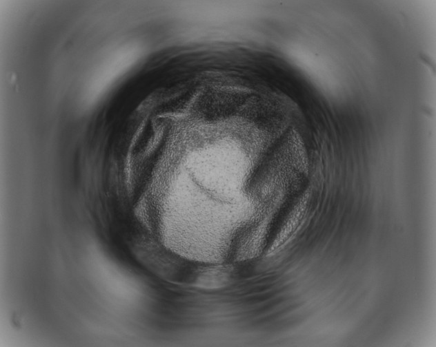 X0000091220191200708301500