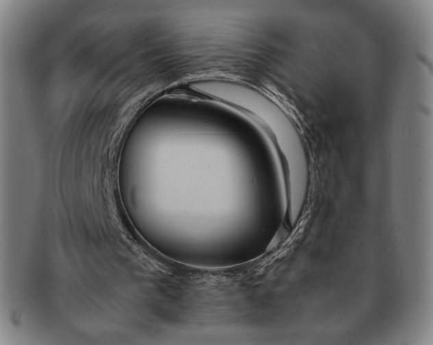 X0000091220193200708301500