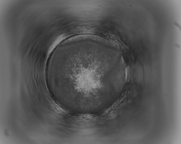 X0000091220195200708301500