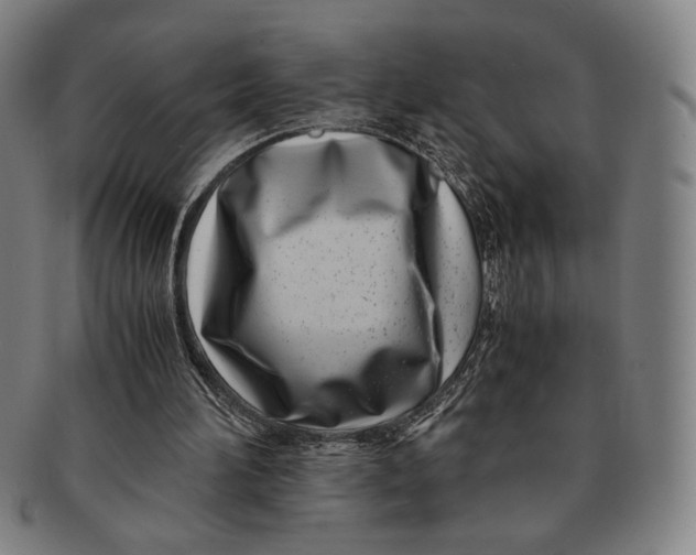 X0000091220196200708301500