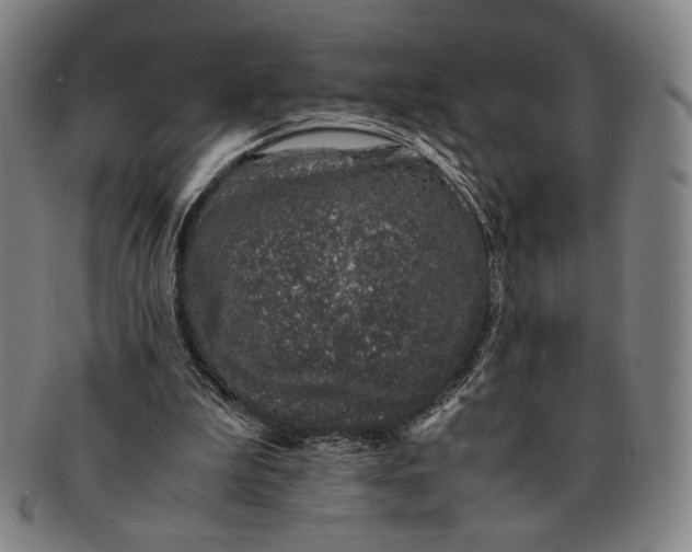 X0000091220199200708301500