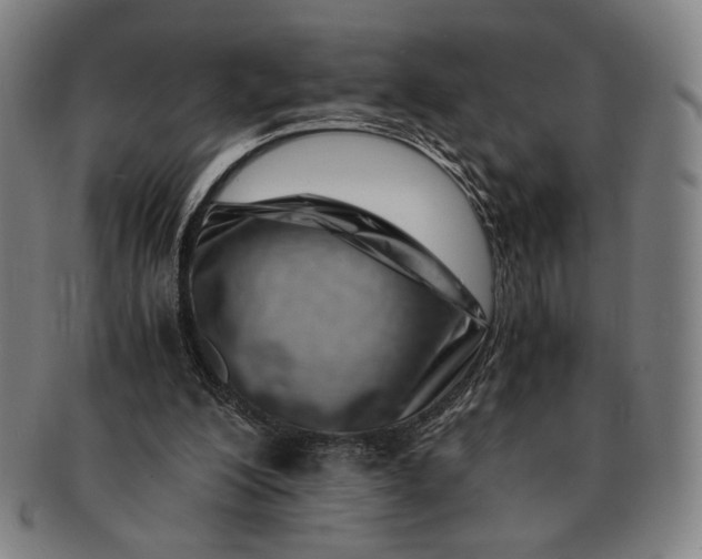 X0000091220200200708301459