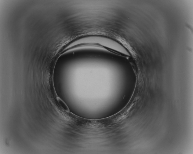 X0000091220201200708301459