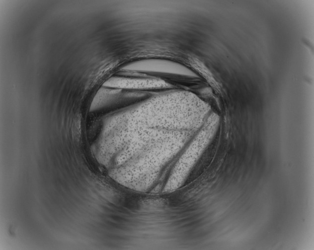 X0000091220202200708301459