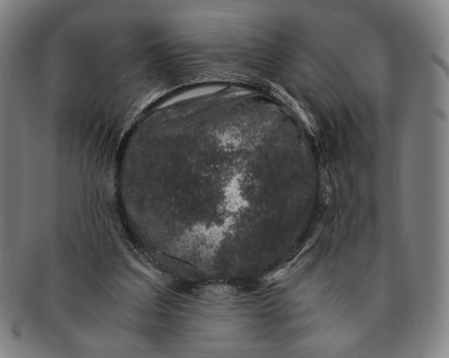 X0000091220203200708301459