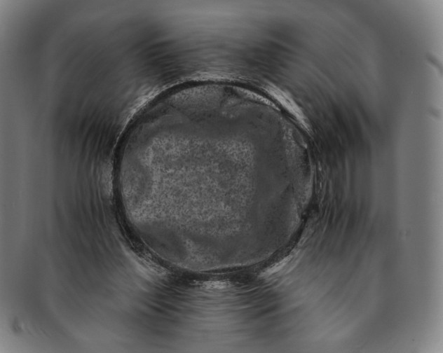 X0000091220204200708301459