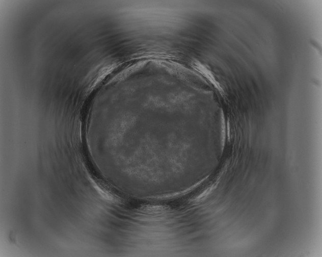 X0000091220205200708301459