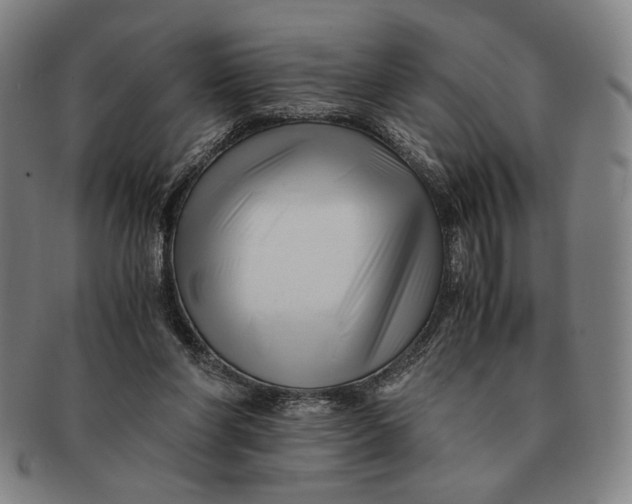 X0000091220206200708301459